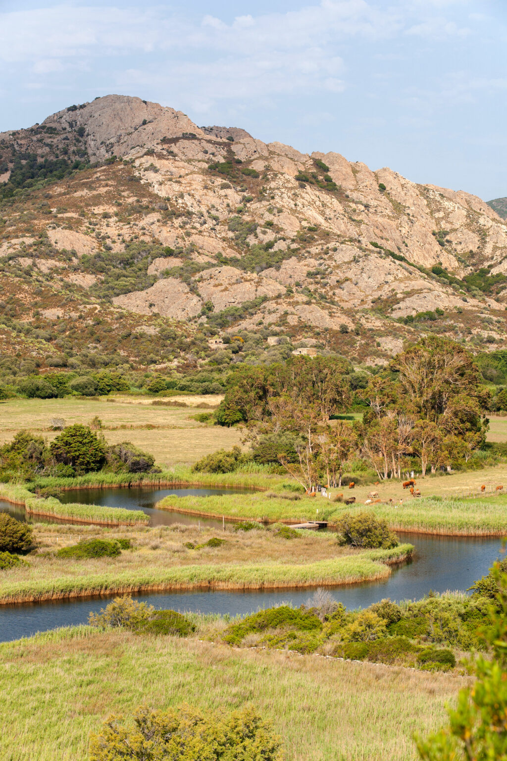 Découverte de l'Ostriconi